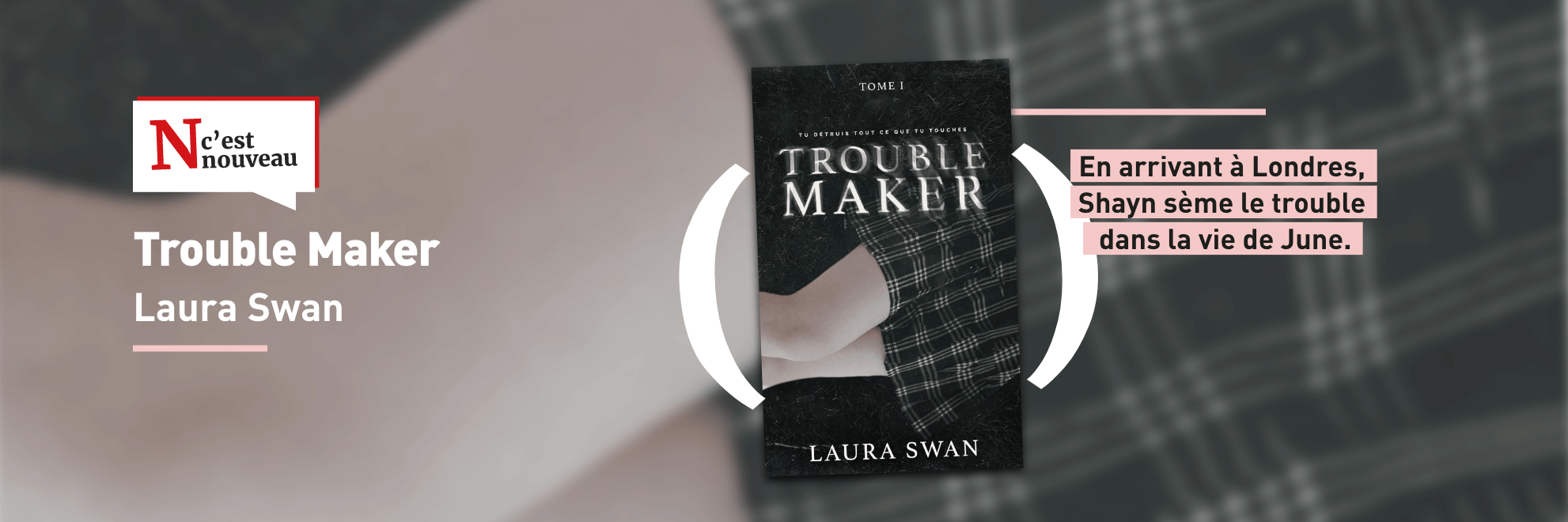Nouveauté - Troublemaker - Laura Swan