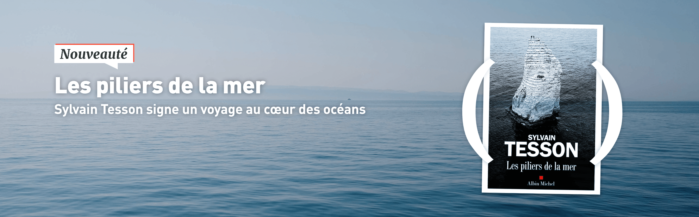 Les pilliers de la mer de Sylvain Tesson