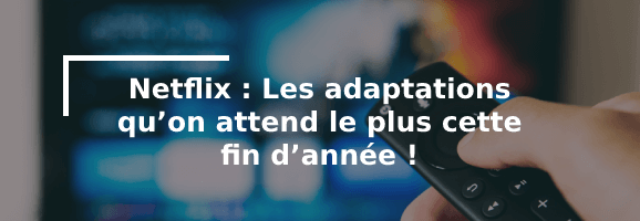 Bannière article adaptions Netflix