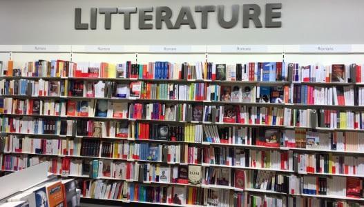 Rayon littérature - Librairie Annemasse